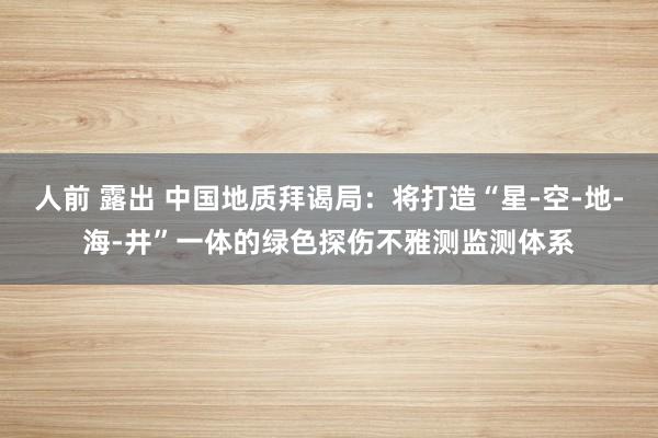 人前 露出 中国地质拜谒局：将打造“星-空-地-海-井”一体的绿色探伤不雅测监测体系