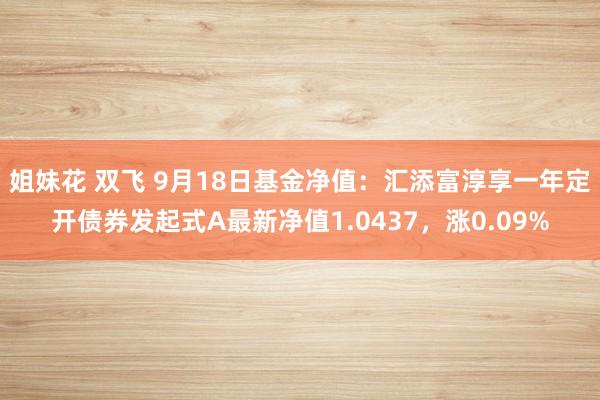 姐妹花 双飞 9月18日基金净值：汇添富淳享一年定开债券发起式A最新净值1.0437，涨0.09%