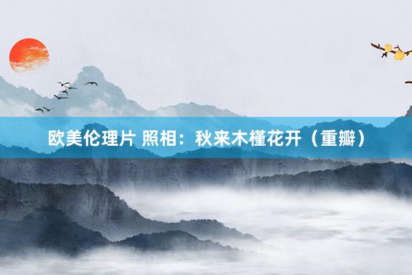 欧美伦理片 照相：秋来木槿花开（重瓣）