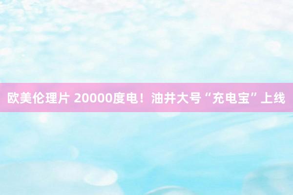 欧美伦理片 20000度电！油井大号“充电宝”上线