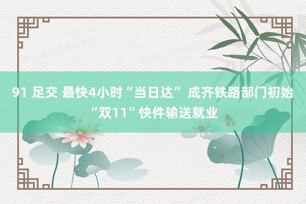 91 足交 最快4小时“当日达” 成齐铁路部门初始“双11”快件输送就业