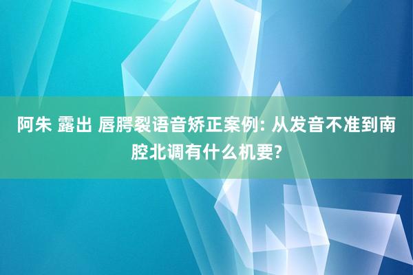 阿朱 露出 唇腭裂语音矫正案例: 从发音不准到南腔北调有什么机要?