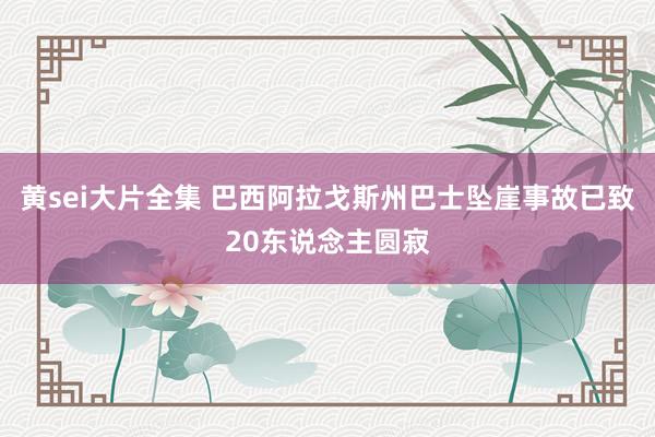 黄sei大片全集 巴西阿拉戈斯州巴士坠崖事故已致20东说念主圆寂