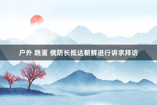 户外 跳蛋 俄防长抵达朝鲜进行讲求拜访