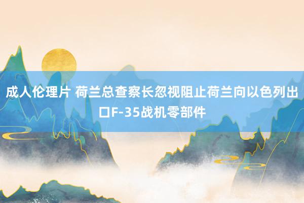 成人伦理片 荷兰总查察长忽视阻止荷兰向以色列出口F-35战机零部件