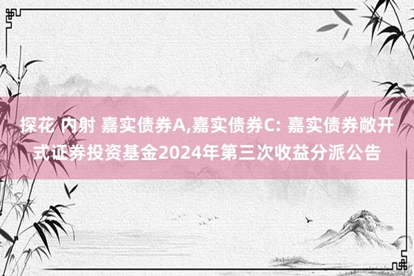 探花 内射 嘉实债券A,嘉实债券C: 嘉实债券敞开式证券投资基金2024年第三次收益分派公告