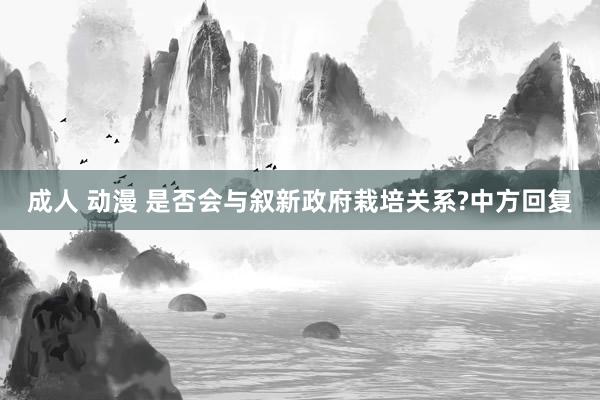 成人 动漫 是否会与叙新政府栽培关系?中方回复