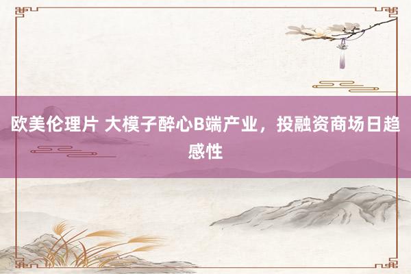 欧美伦理片 大模子醉心B端产业，投融资商场日趋感性