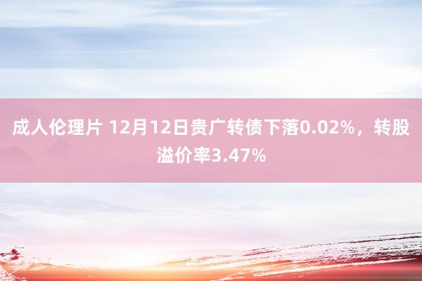 成人伦理片 12月12日贵广转债下落0.02%，转股溢价率3.47%