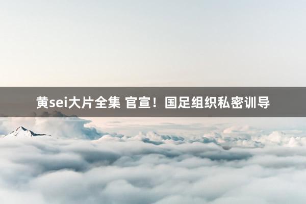 黄sei大片全集 官宣！国足组织私密训导