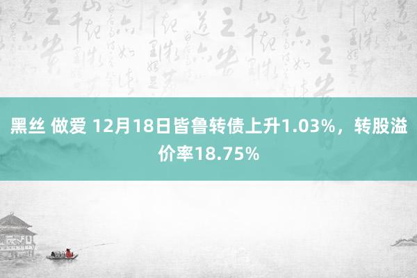 黑丝 做爱 12月18日皆鲁转债上升1.03%，转股溢价率18.75%