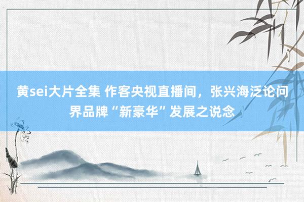 黄sei大片全集 作客央视直播间，张兴海泛论问界品牌“新豪华”发展之说念