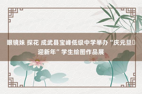 眼镜妹 探花 成武县宝峰低级中学举办“庆元旦・迎新年”学生绘图作品展
