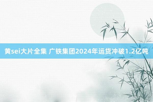 黄sei大片全集 广铁集团2024年运货冲破1.2亿吨