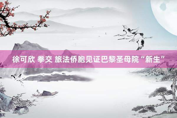 徐可欣 拳交 旅法侨胞见证巴黎圣母院“新生”