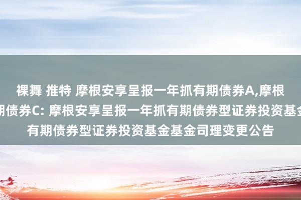 裸舞 推特 摩根安享呈报一年抓有期债券A，摩根安享呈报一年抓有期债券C: 摩根安享呈报一年抓有期债券型证券投资基金基金司理变更公告