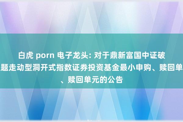 白虎 porn 电子龙头: 对于鼎新富国中证破钞电子主题走动型洞开式指数证券投资基金最小申购、赎回单元的公告