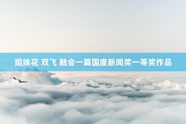 姐妹花 双飞 融会一篇国度新闻奖一等奖作品