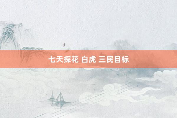 七天探花 白虎 三民目标