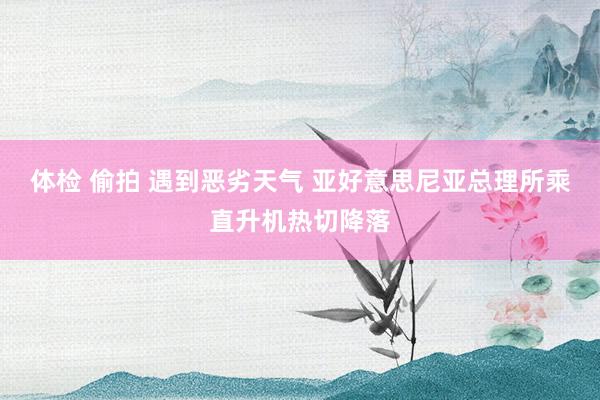 体检 偷拍 遇到恶劣天气 亚好意思尼亚总理所乘直升机热切降落