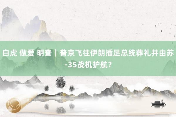 白虎 做爱 明查｜普京飞往伊朗插足总统葬礼并由苏-35战机护航？