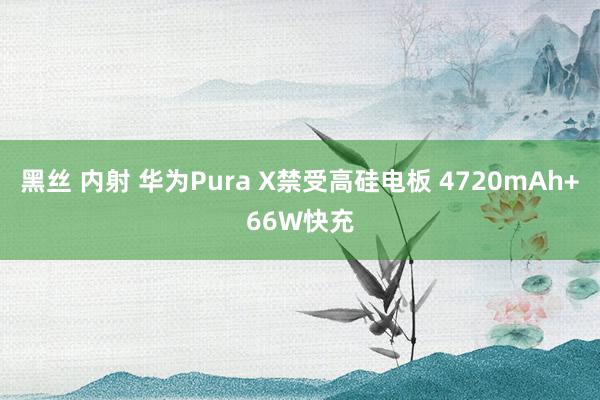 黑丝 内射 华为Pura X禁受高硅电板 4720mAh+66W快充