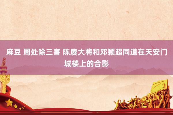 麻豆 周处除三害 陈赓大将和邓颖超同道在天安门城楼上的合影
