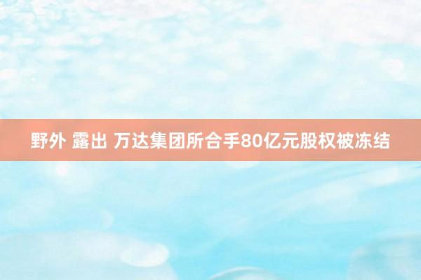 野外 露出 万达集团所合手80亿元股权被冻结