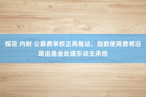 探花 内射 公募费率校正再推动，指数使用费将沿路由基金处理东谈主承担