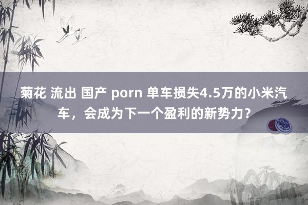 菊花 流出 国产 porn 单车损失4.5万的小米汽车，会成为下一个盈利的新势力？