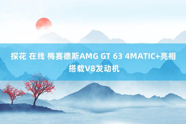 探花 在线 梅赛德斯AMG GT 63 4MATIC+亮相 搭载V8发动机