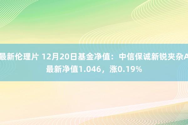 最新伦理片 12月20日基金净值：中信保诚新锐夹杂A最新净值1.046，涨0.19%