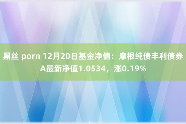 黑丝 porn 12月20日基金净值：摩根纯债丰利债券A最新净值1.0534，涨0.19%