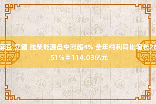 麻豆 艾鲤 潍柴能源盘中涨超4% 全年纯利同比增长26.51%至114.03亿元