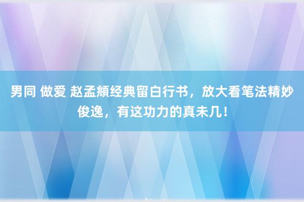 男同 做爱 赵孟頫经典留白行书，放大看笔法精妙俊逸，有这功力的真未几！