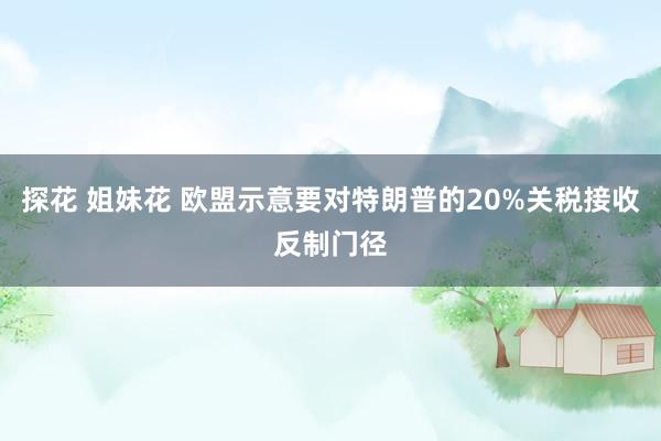 探花 姐妹花 欧盟示意要对特朗普的20%关税接收反制门径