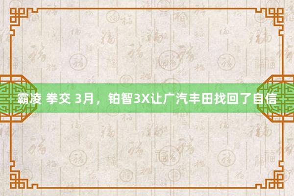 霸凌 拳交 3月，铂智3X让广汽丰田找回了自信