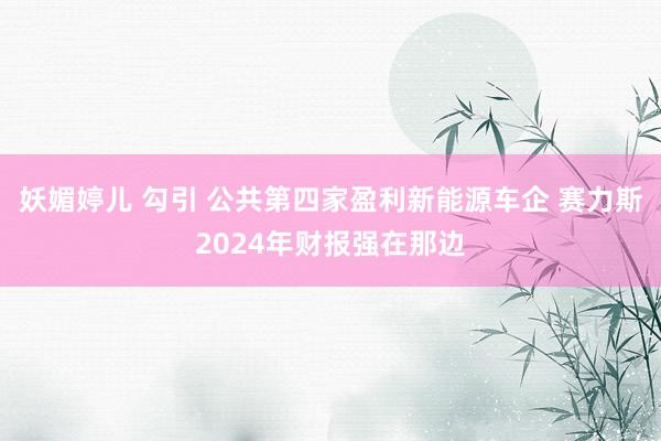 妖媚婷儿 勾引 公共第四家盈利新能源车企 赛力斯2024年财报强在那边
