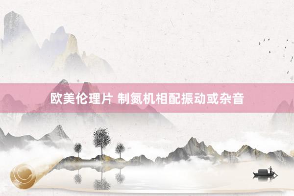 欧美伦理片 制氮机相配振动或杂音