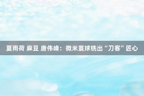夏雨荷 麻豆 唐伟峰：微米寰球铣出“刀客”匠心