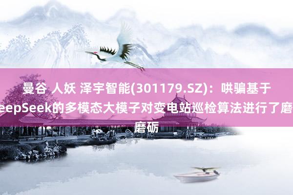 曼谷 人妖 泽宇智能(301179.SZ)：哄骗基于DeepSeek的多模态大模子对变电站巡检算法进行了磨砺