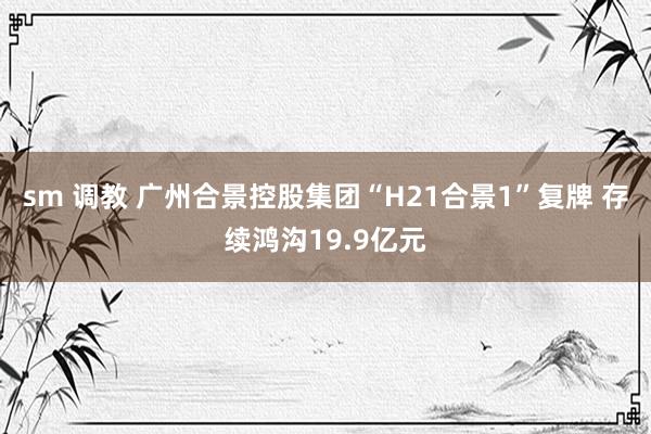 sm 调教 广州合景控股集团“H21合景1”复牌 存续鸿沟19.9亿元