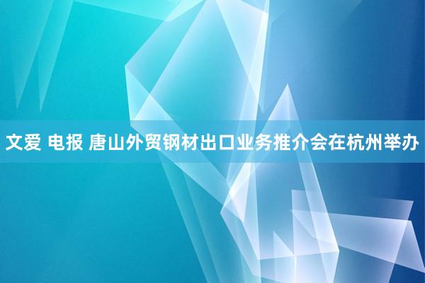 文爱 电报 唐山外贸钢材出口业务推介会在杭州举办