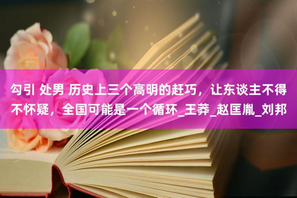 勾引 处男 历史上三个高明的赶巧，让东谈主不得不怀疑，全国可能是一个循环_王莽_赵匡胤_刘邦