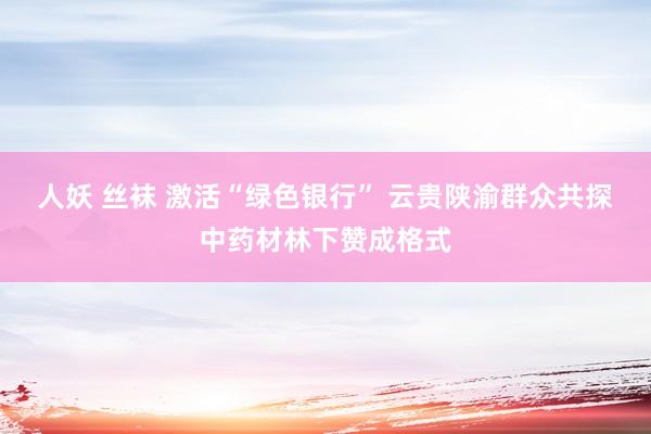 人妖 丝袜 激活“绿色银行” 云贵陕渝群众共探中药材林下赞成格式