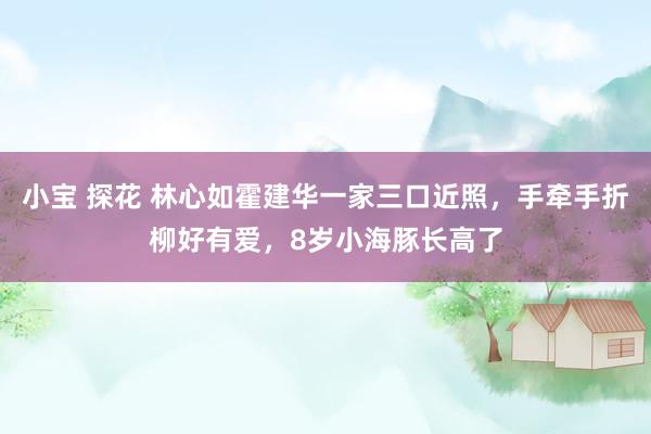 小宝 探花 林心如霍建华一家三口近照，手牵手折柳好有爱，8岁小海豚长高了
