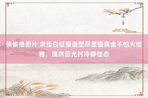 偷偷撸图片 宋佳白征服造型尽显锻真金不怕火优雅，漠然目光衬冷静佳态